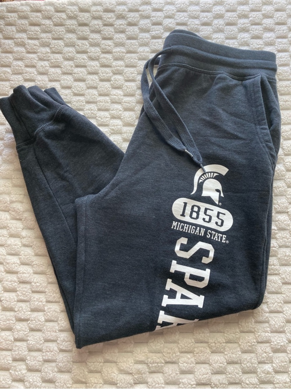 Michigan State Spartans Sweatpants with Spartan Logo